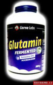 AMINOKYSELINY - bcaa Glutamin - Fermented HPLC Micronized - 500g