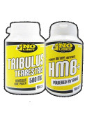 tribulus Tribulus terrestris + HMB+
